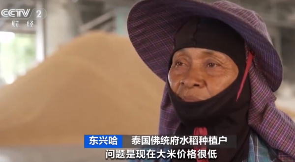 铁牛配资 全球米价都在跌，日本却涨了又涨，原因在哪里？