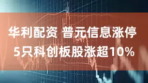 华利配资 普元信息涨停 5只科创板股涨超10%
