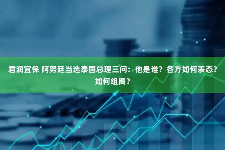 君润宜保 阿努廷当选泰国总理三问：他是谁？各方如何表态？如何组阁？